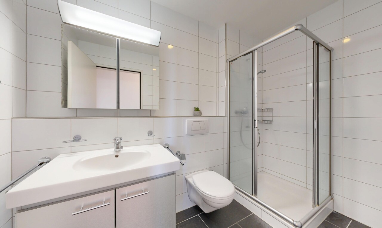 salle de bains avec mur en carrelage, tile wall, salle de bain complète, douche, et miroir