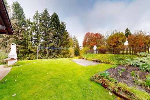 garten mit rasen, zaun, und from property