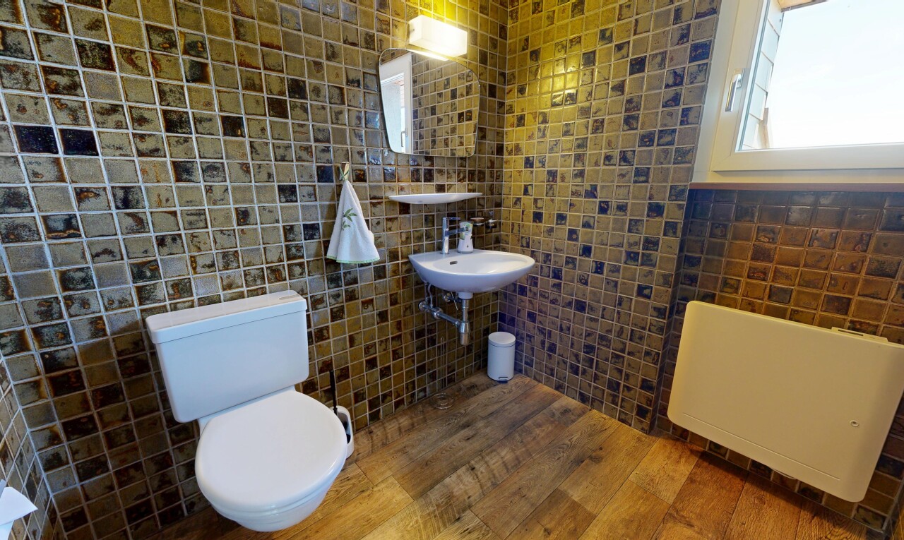 salle de bains avec miroir, mur en carrelage, tile wall, toilette, et lumière naturelle