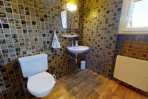 salle de bains avec miroir, mur en carrelage, tile wall, toilette, et lumière naturelle