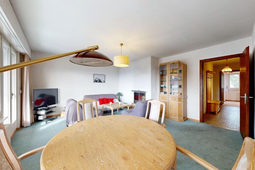 salle à manger avec lumière naturelle, natural light, moquette, carpet, et télévision