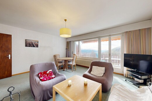 salon / salle à manger avec télévision, inside property, natural light, lumière naturelle, et carpet