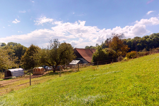 garten mit zaun, ländliche aussicht, und rasen