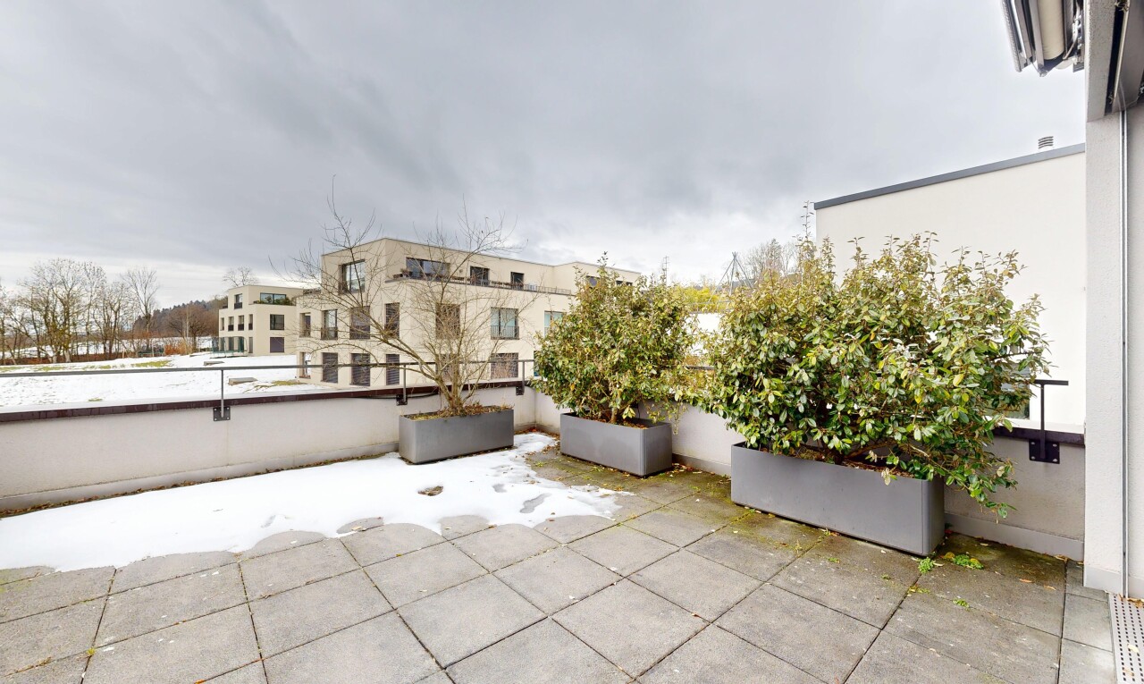 terrasse avec terrasse et overcast