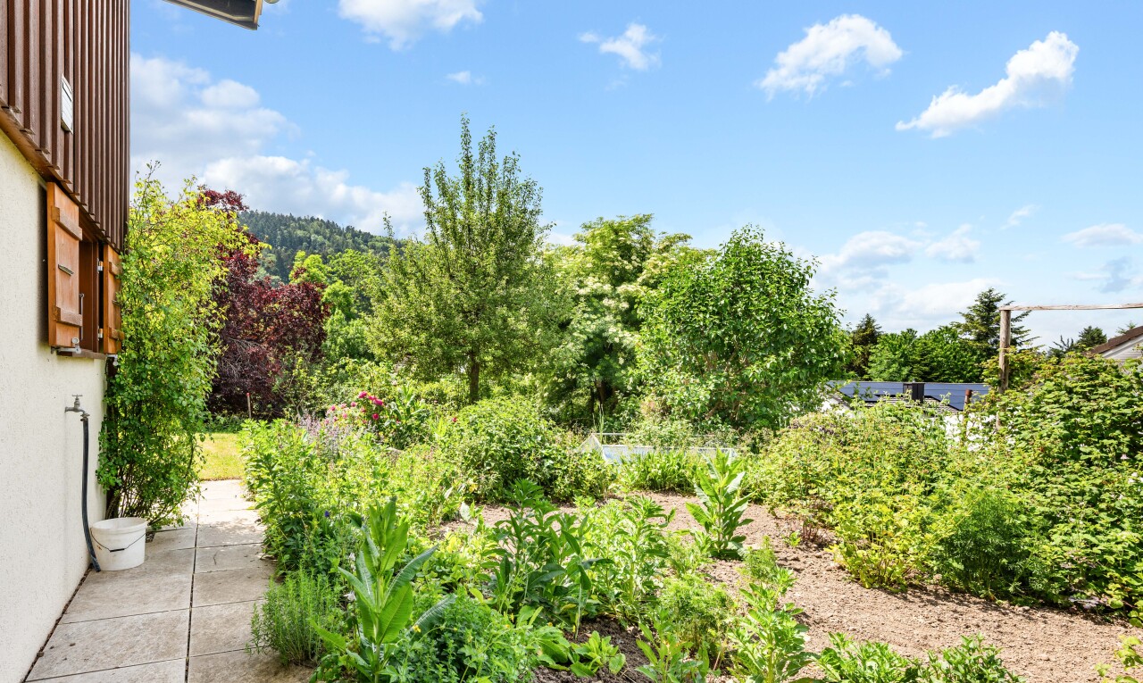garten mit from property, garten, und day time