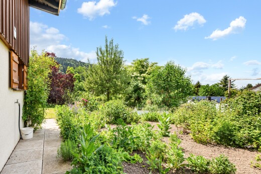 garten mit from property, garten, und day time