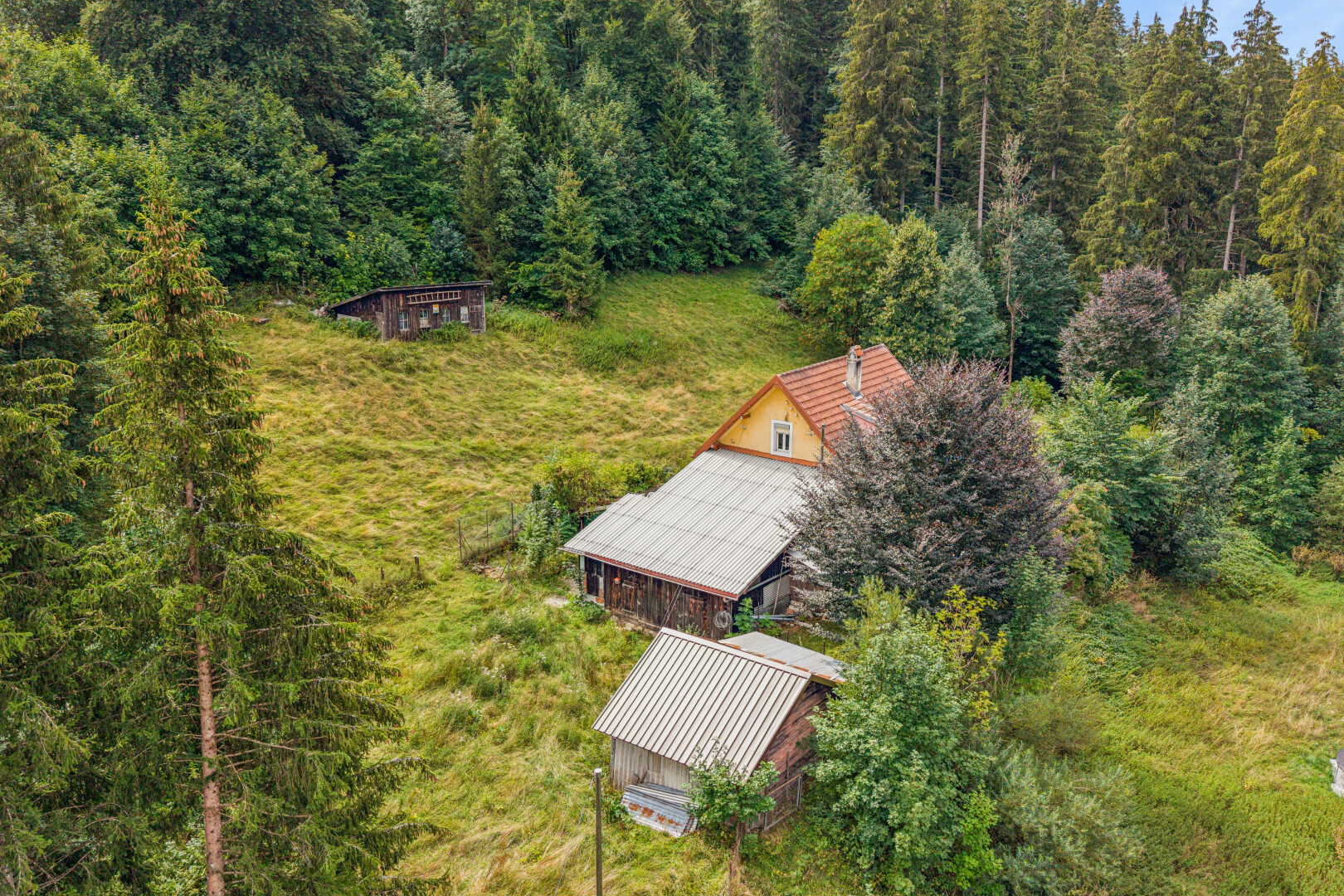 façade avec forest view, vue sur la forêt, et structure extérieure