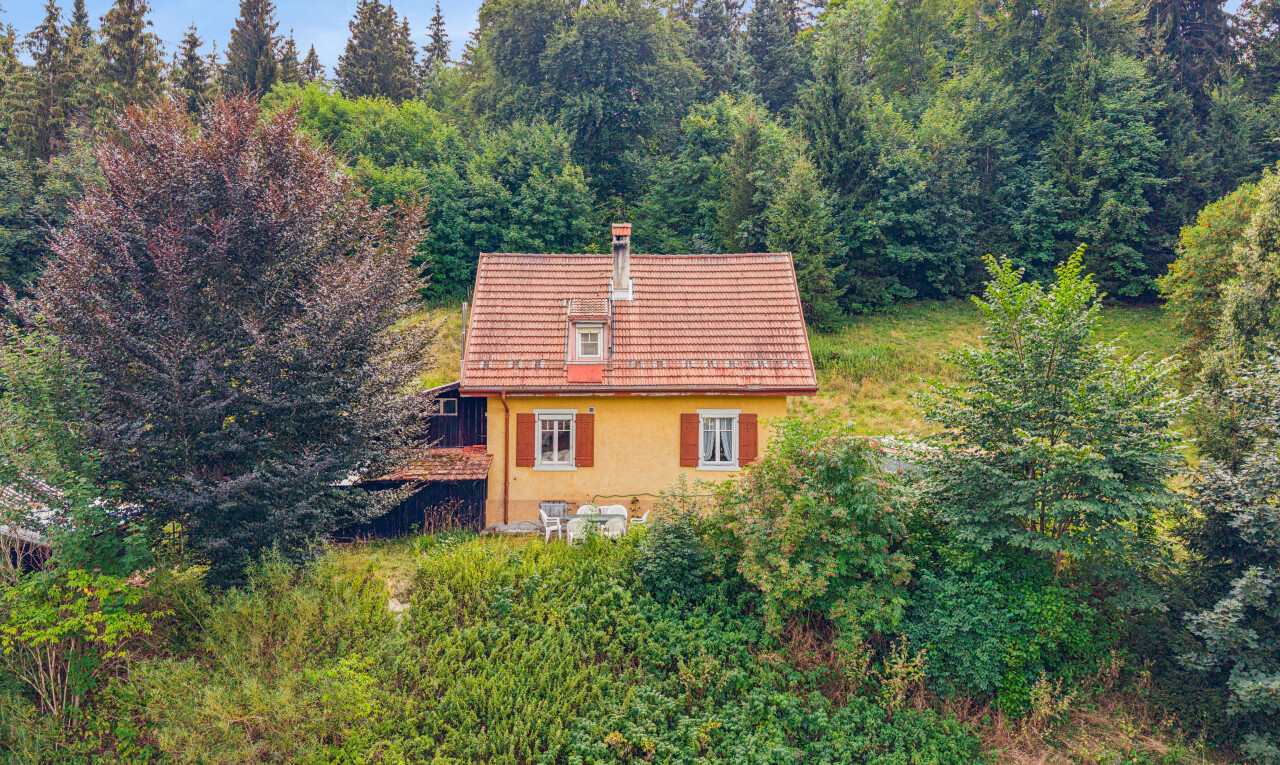 façade avec toit mansardé, property visible, toit en tuiles, vue sur la forêt, et forest view