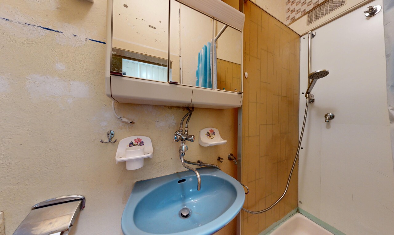 salle de bains avec miroir, douche, évier, salle de bain complète, et inside property