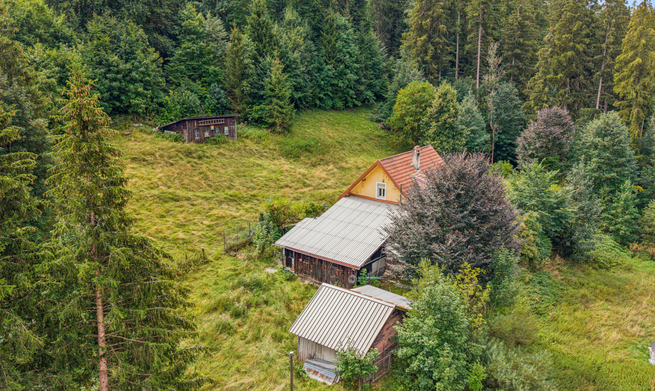 façade avec forest view, vue sur la forêt, et structure extérieure