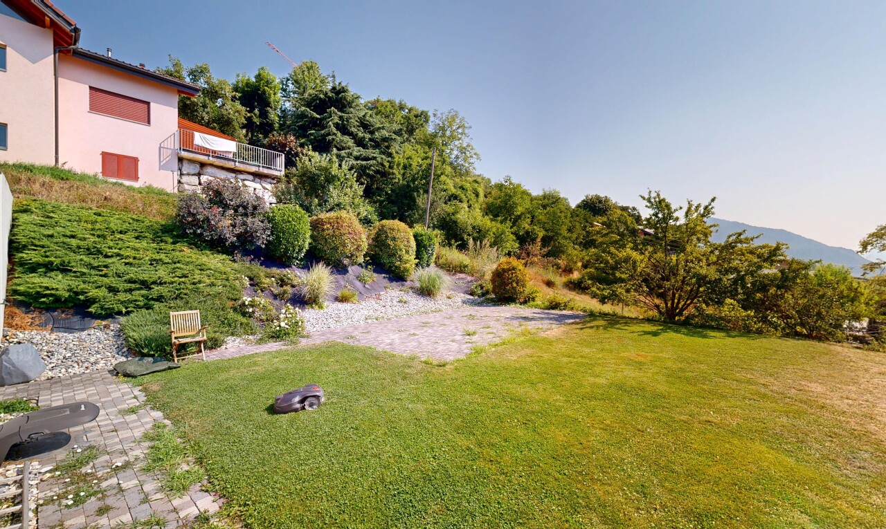 jardin avec pelouse et day time