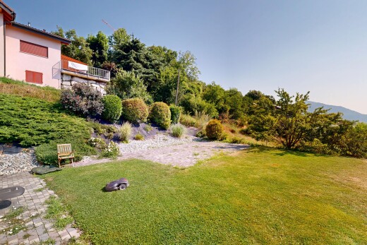 jardin avec pelouse et day time