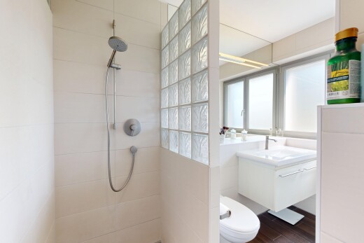 salle de bains avec miroir, douche, lavabo (ou coiffeuse selon le contexte), toilette, et salle de bain complète