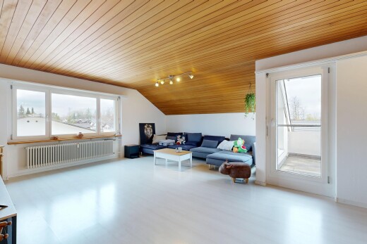 salon avec plafond en bois, wood ceiling, radiateur, inside property, et cloison sèche