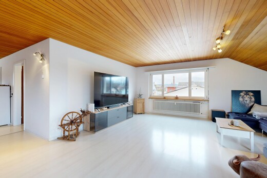 salon avec plafond en bois, wood ceiling, éclairage sur rail, track lighting, et télévision