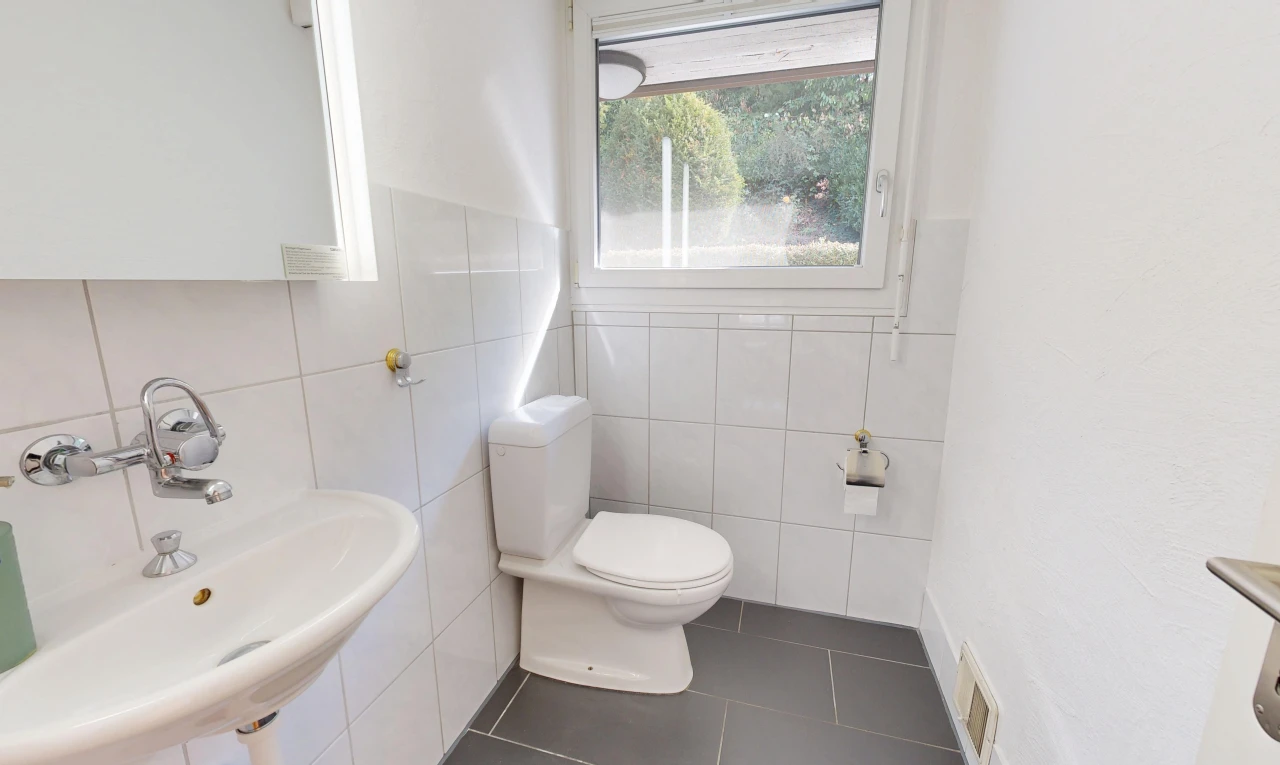 bad mit gäste-wc, waschbecken, toilette, fliesenwand, und tile wall