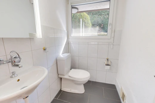 bad mit gäste-wc, waschbecken, toilette, fliesenwand, und tile wall