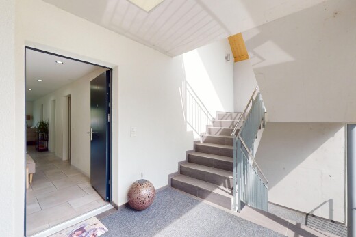 treppe mit drywall, gipskartonwand, treppen, carpet, und teppich