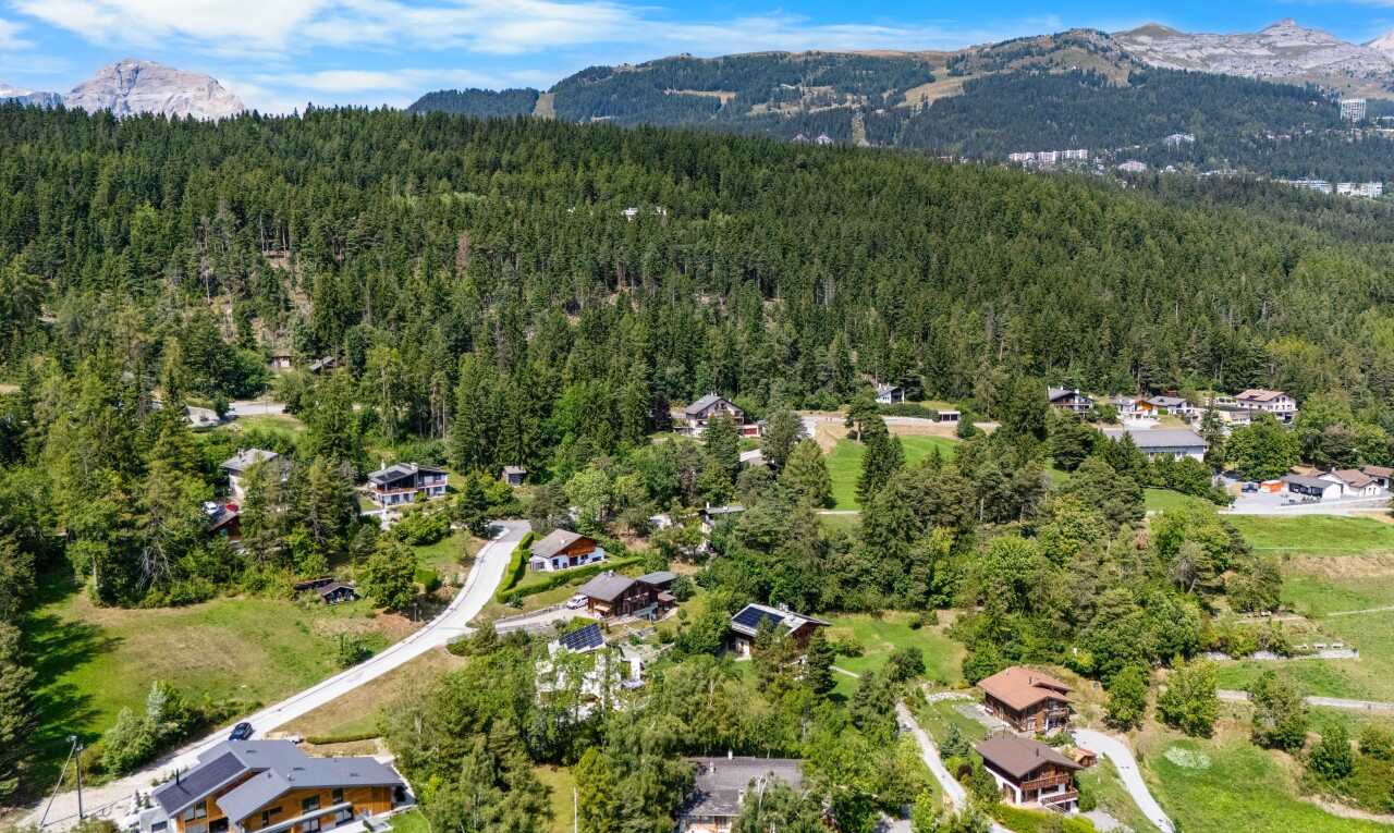 vue sur la montagne avec mountain view, vue sur la montagne, forest view, et vue sur la forêt