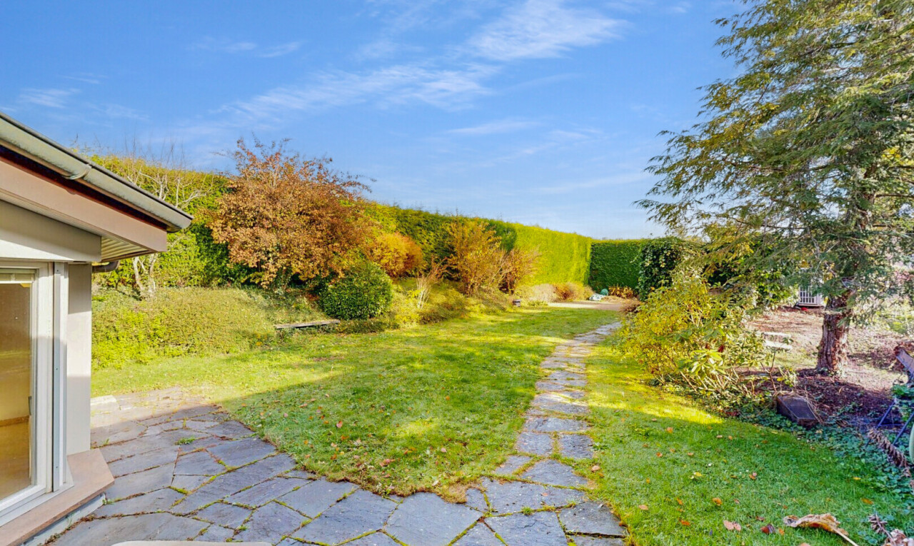 garten mit rasen, from property, day time, und terrasse