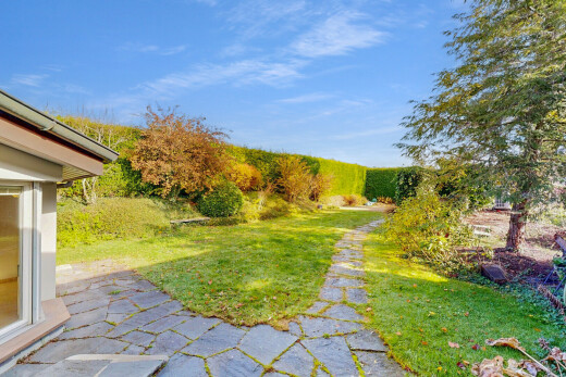 garden featuring a lawn and a patio area