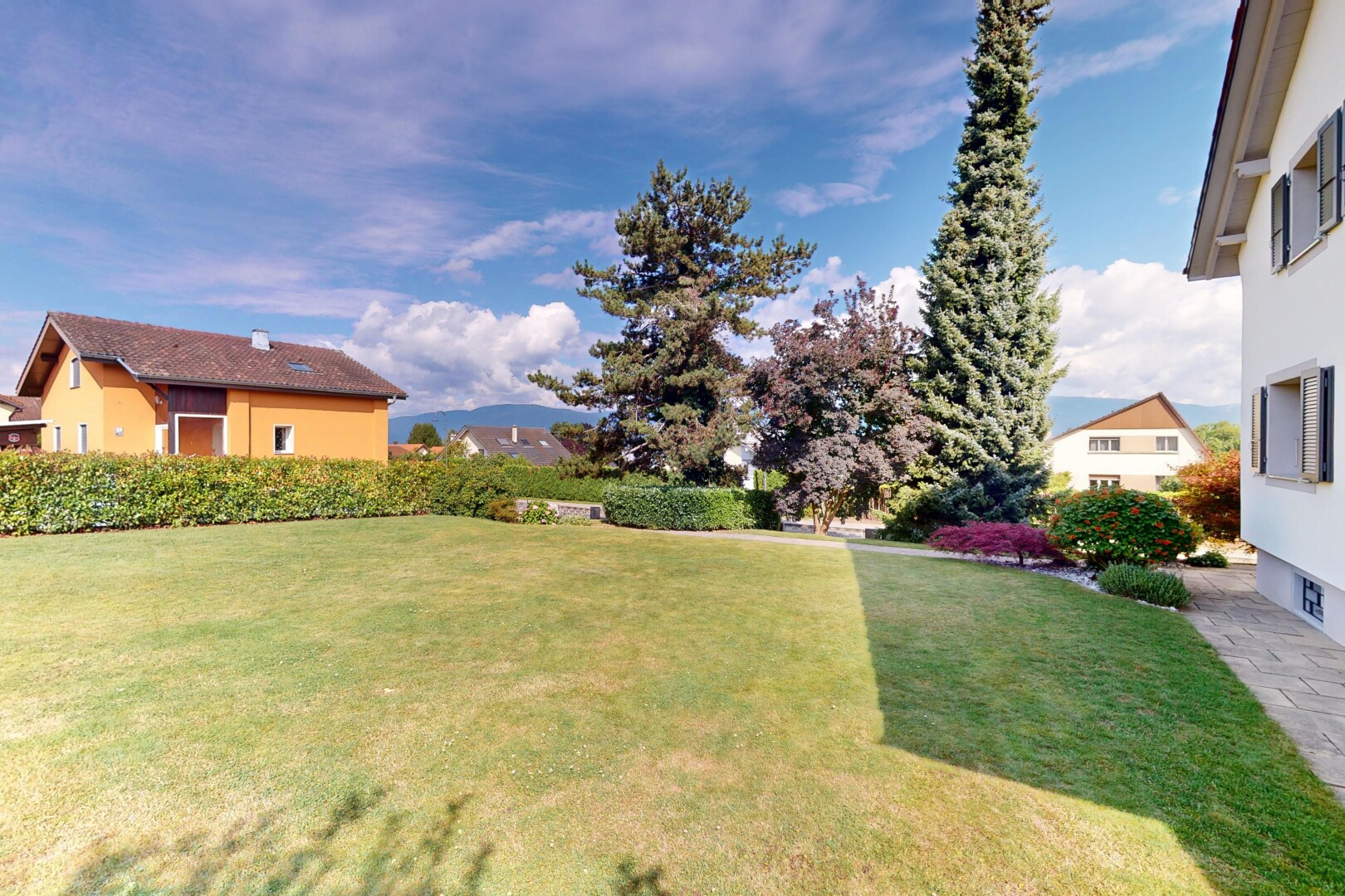 jardin avec pelouse