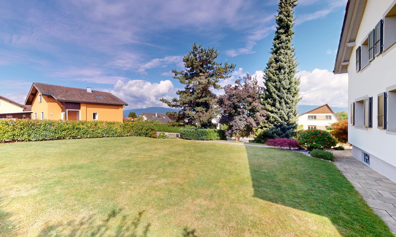 jardin avec pelouse