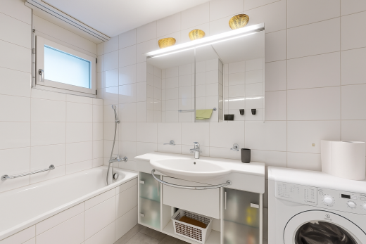 bad mit tumbler, komplettes badezimmer, natürliches licht, natural light, und spiegel