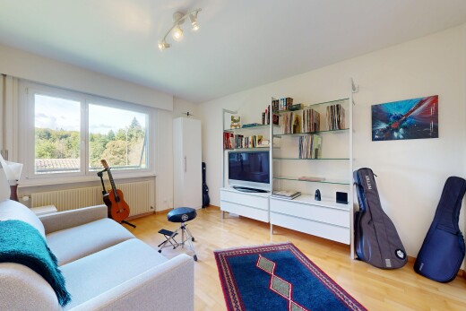 salon avec natural light, lumière naturelle, télévision, drywall, et cloison sèche