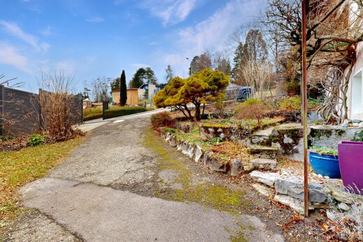garten mit day time