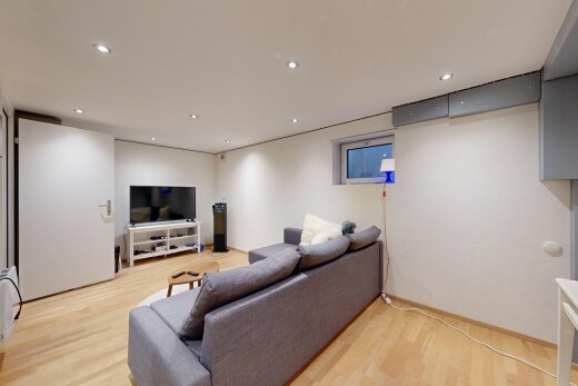 salon avec sous-sol, sol en finition bois, wood finish floor, télévision, et inside property