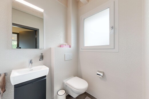 salle de bains avec toilette, natural light, lumière naturelle, lavabo (ou coiffeuse selon le contexte), et miroir
