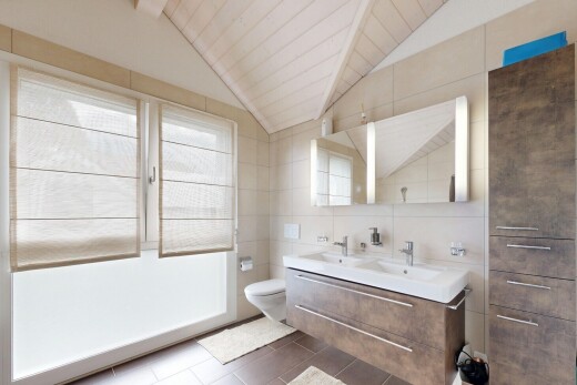 salle de bains avec miroir, plafond voûté, vaulted ceiling, toilette, et inside property