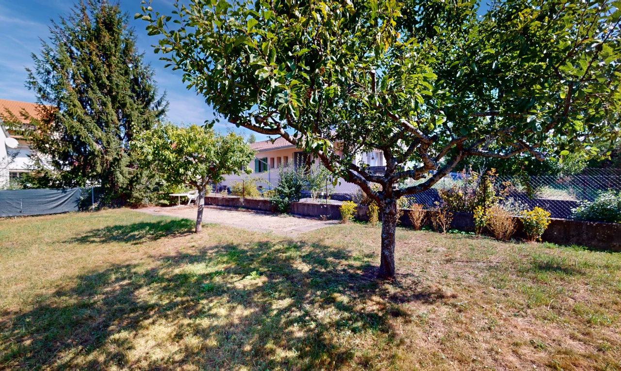 jardin avec clôture et pelouse