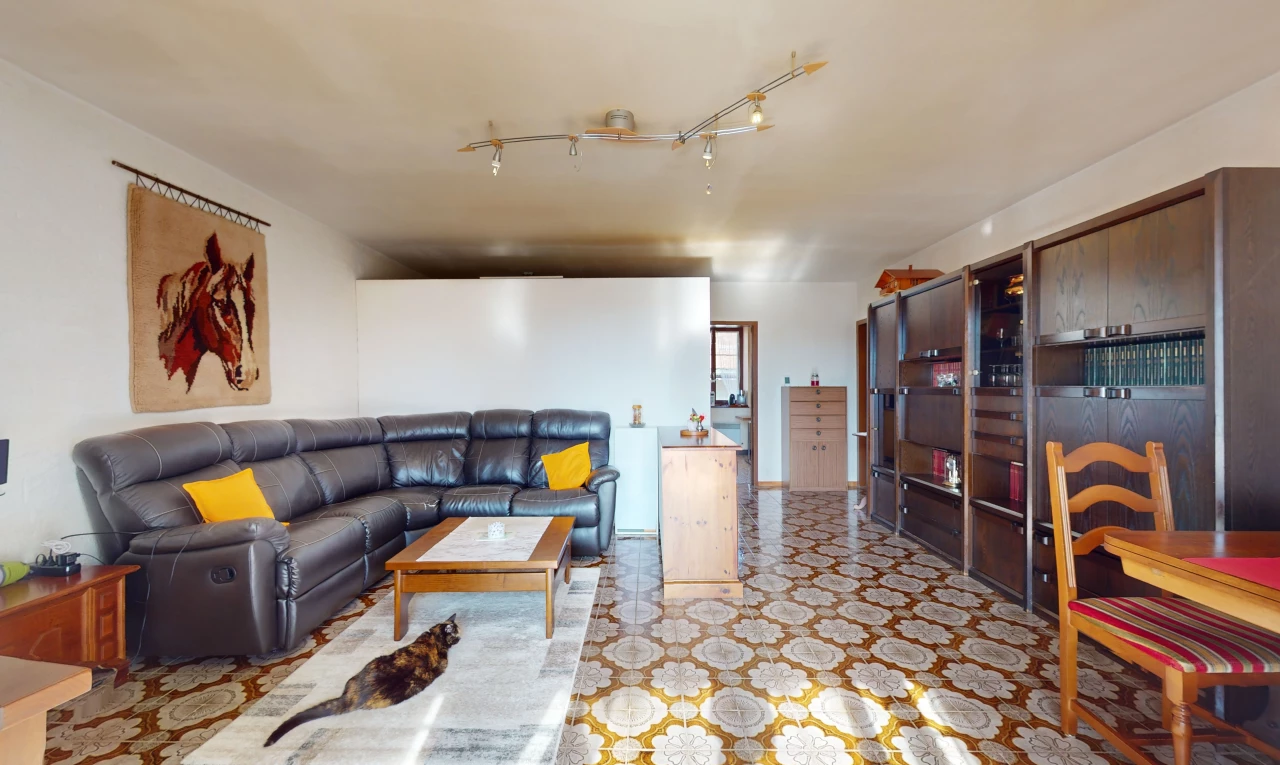 salon / salle à manger avec éclairage sur rail et carrelage