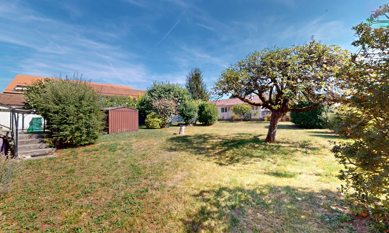 jardin avec structure extérieure et pelouse
