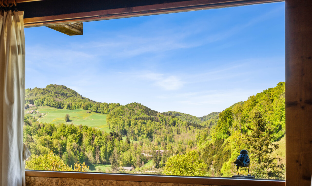 blick auf die berge mit day time, mountain view, blick auf die berge, forest view, und waldblick