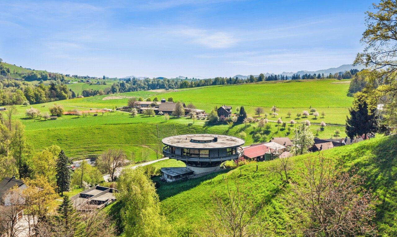 jardin avec vue rurale, rural view, day time, vue sur le pâturage, et pasture view
