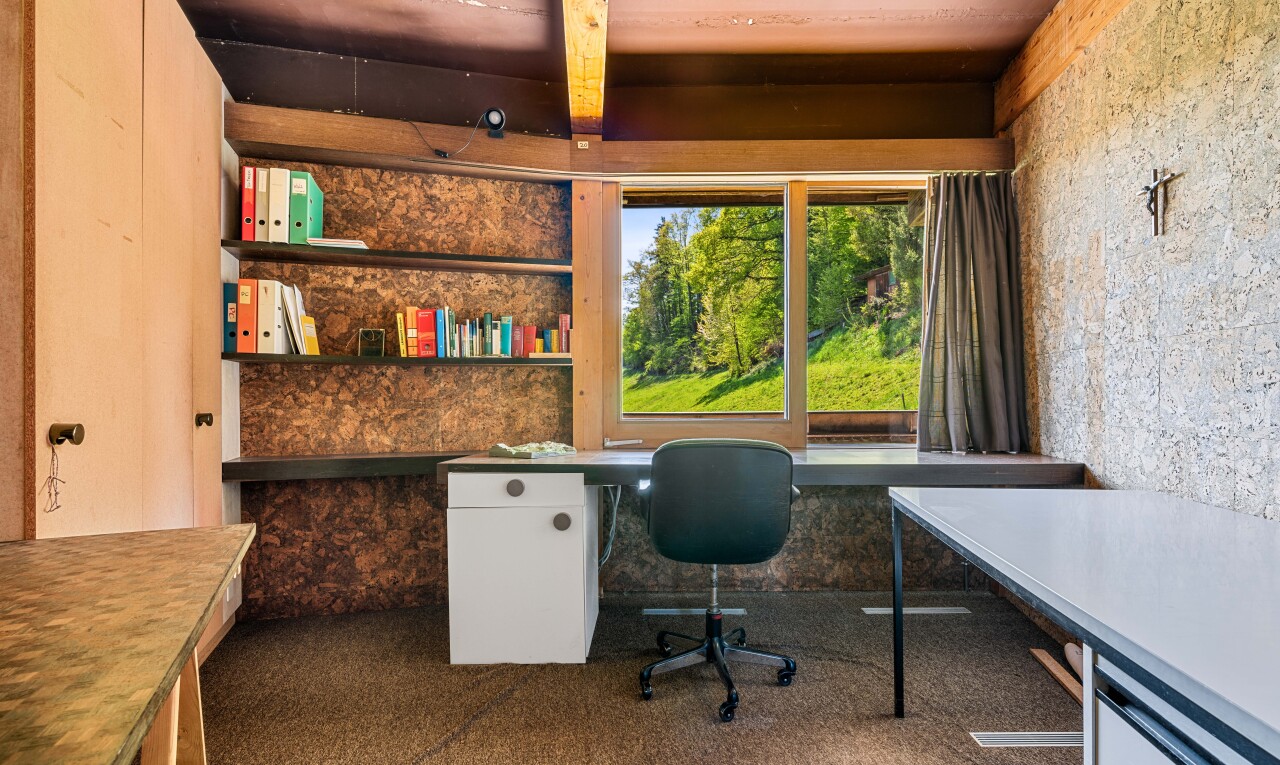 bureau avec inside property, carpet, moquette, espace bureau, et natural light