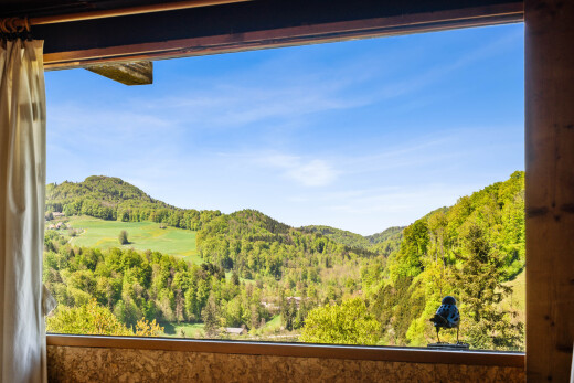 blick auf die berge mit day time, mountain view, blick auf die berge, forest view, und waldblick