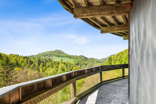 balkon mit from property, waldblick, forest view, und day time