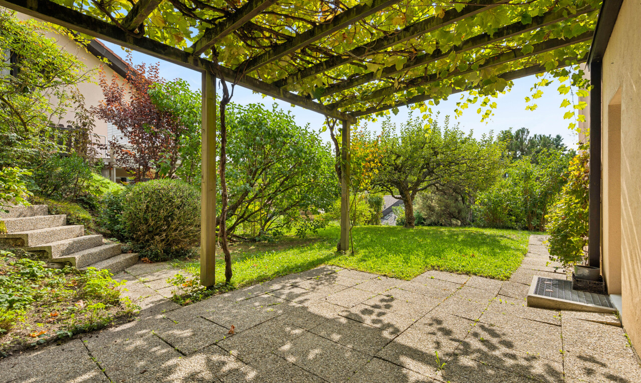 garden with a pergola, a yard, and a patio area