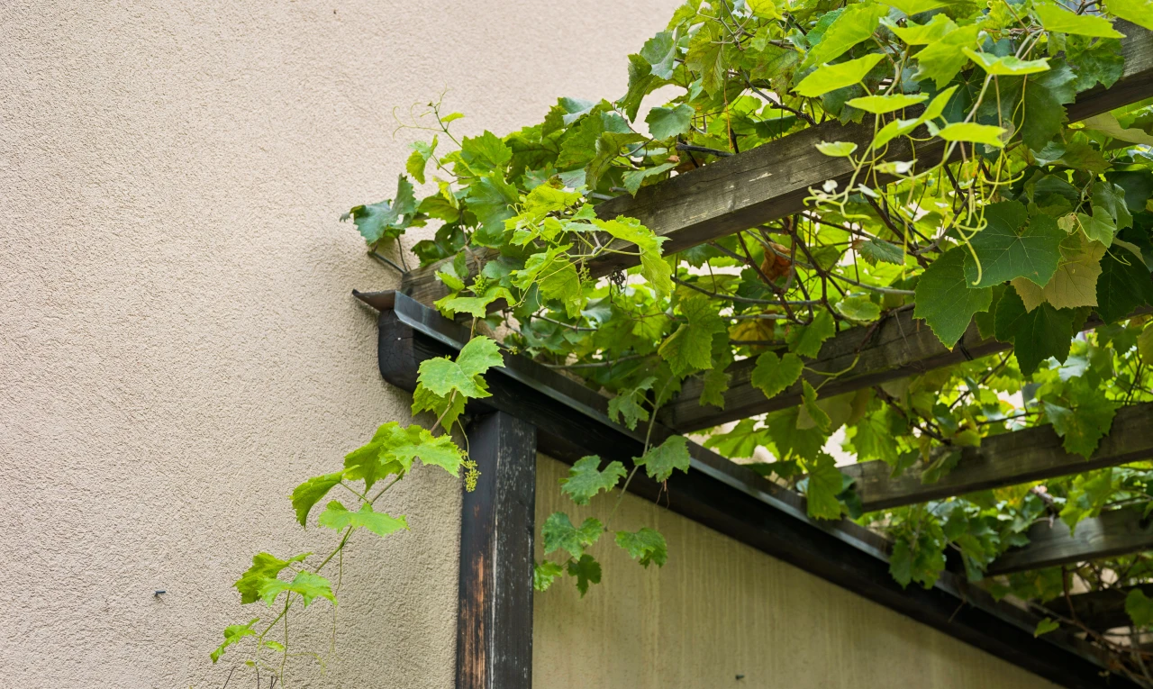 einzelheiten mit exterior und siding