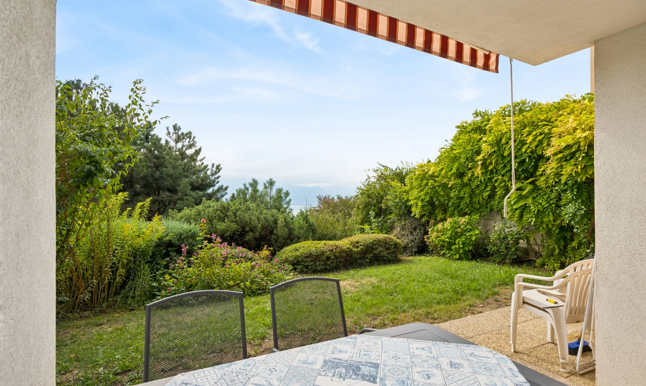 terrasse mit rasen, terrasse, und from property