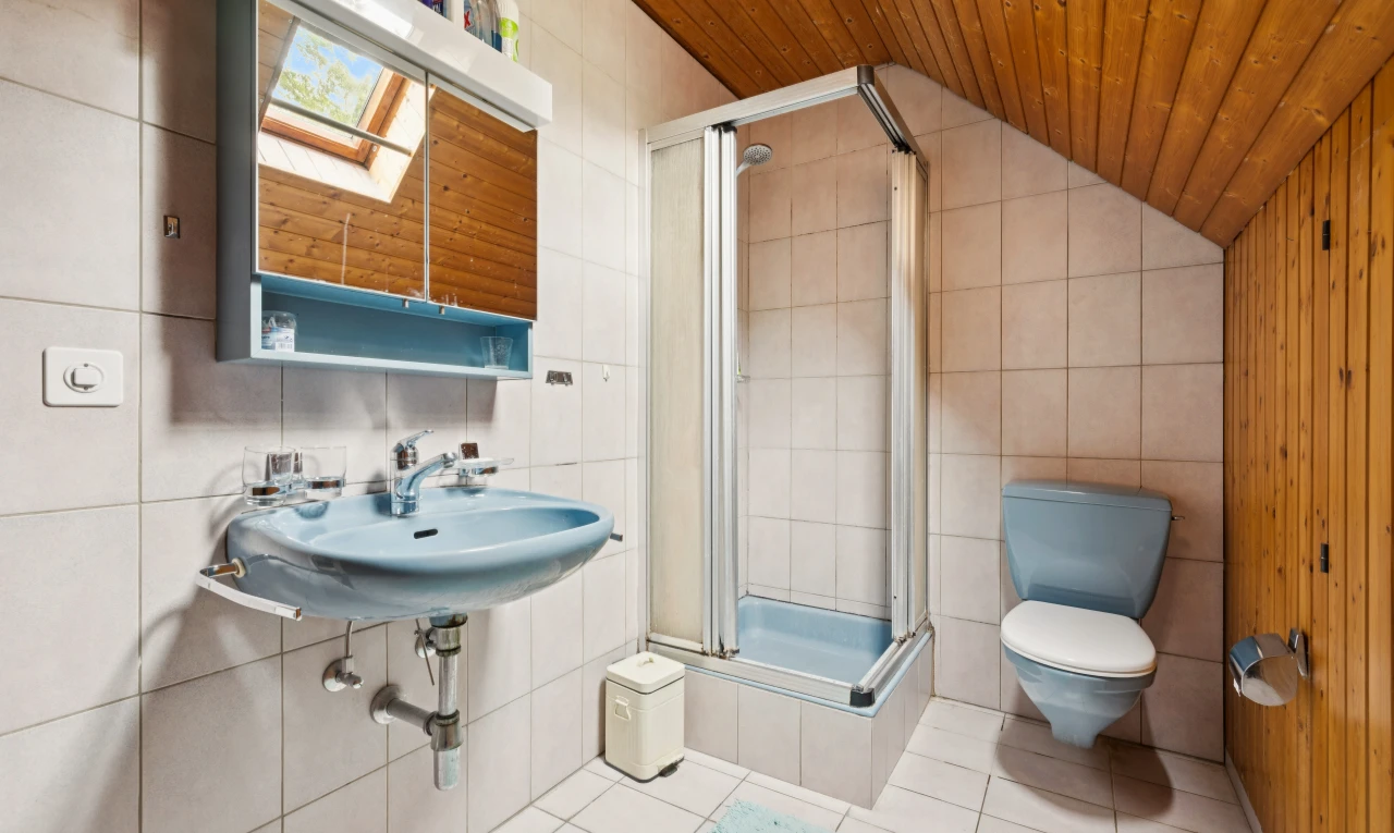 bad mit toilette, dusche, komplettes badezimmer, holzdecke, und wood ceiling