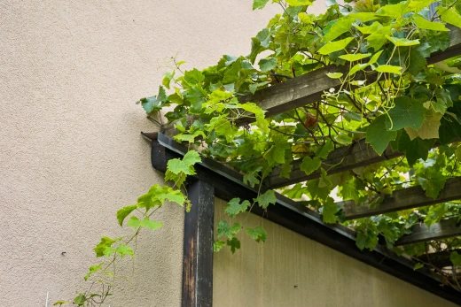 einzelheiten mit exterior und siding