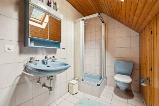 bad mit toilette, dusche, komplettes badezimmer, holzdecke, und wood ceiling