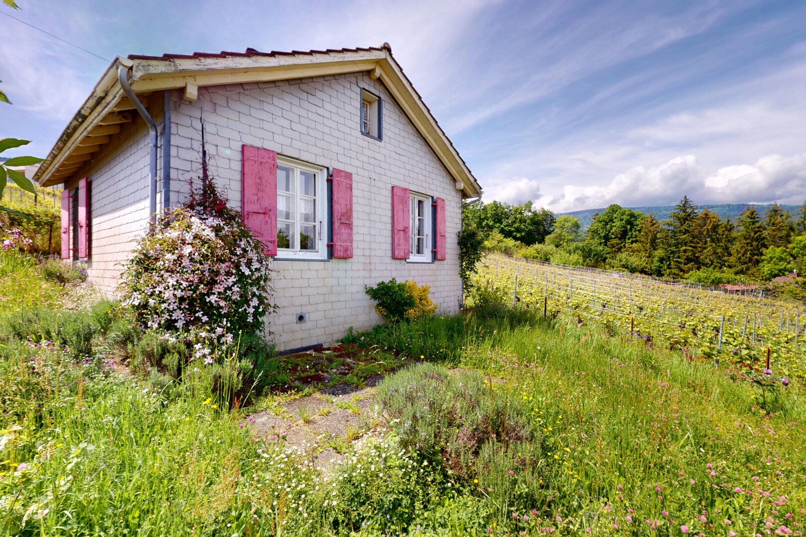 façade avec property visible, bardage en bardeaux, garage attaché, day time, et bardage en brique