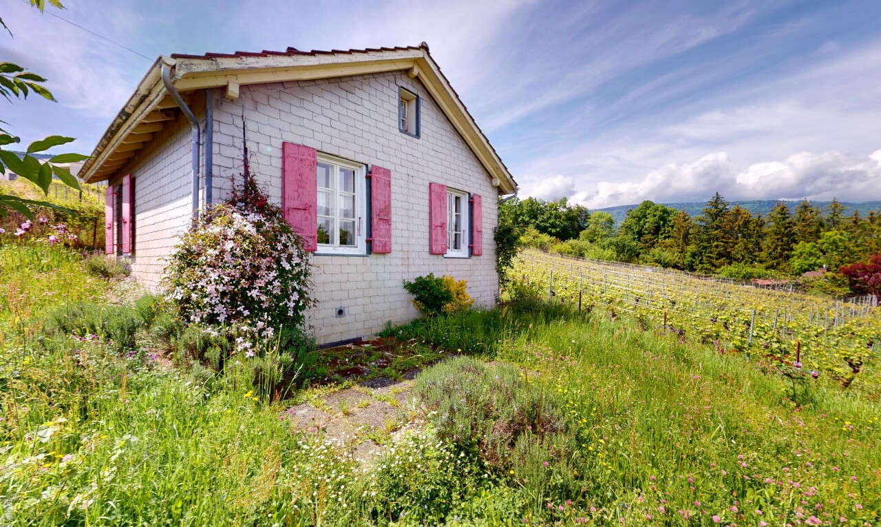 façade avec property visible, bardage en bardeaux, garage attaché, day time, et bardage en brique