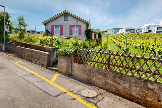 außenansicht mit blick auf obstgarten/agrarland, orchard / agricultural view, day time, zaun, und property visible